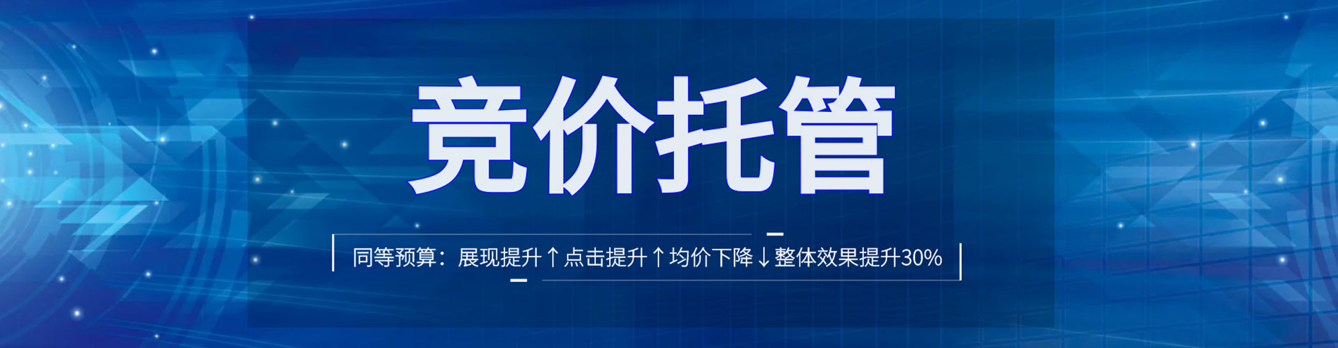 新林竞价托管